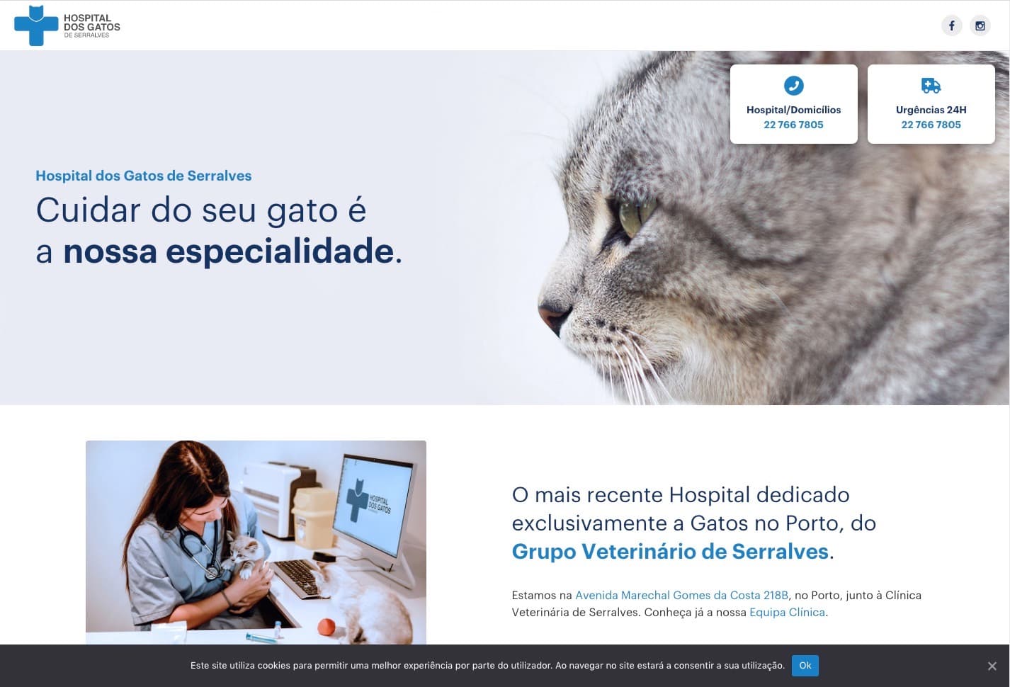 Hospital dos Gatos